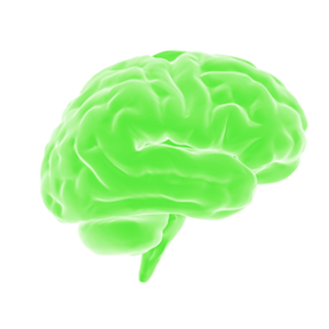 Rehabilitación neuropsicológica ilustración